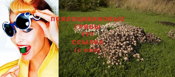 круглые Арсеньев