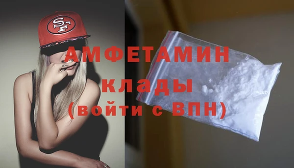 сатива Аркадак