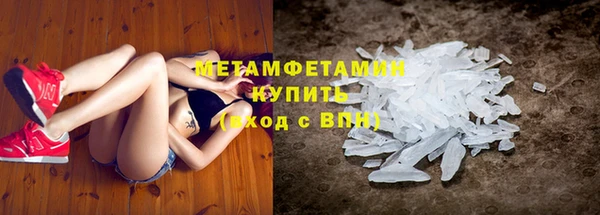 сатива Аркадак