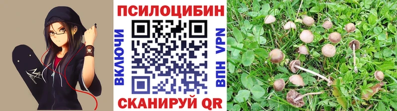 Псилоцибиновые грибы мицелий  MEGA зеркало  Гуково 