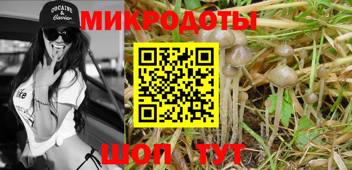 Гуково  Галлюциногенные грибы MAGIC MUSHROOMS  Вход с VPN 