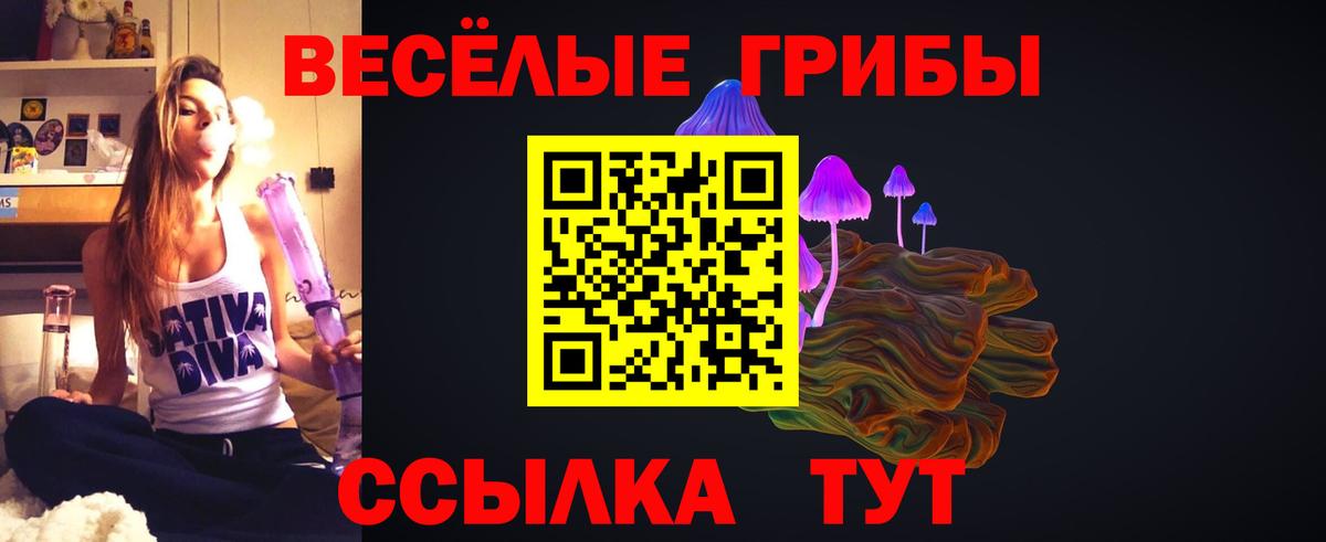 Псилоцибиновые грибы ЛСД Гуково