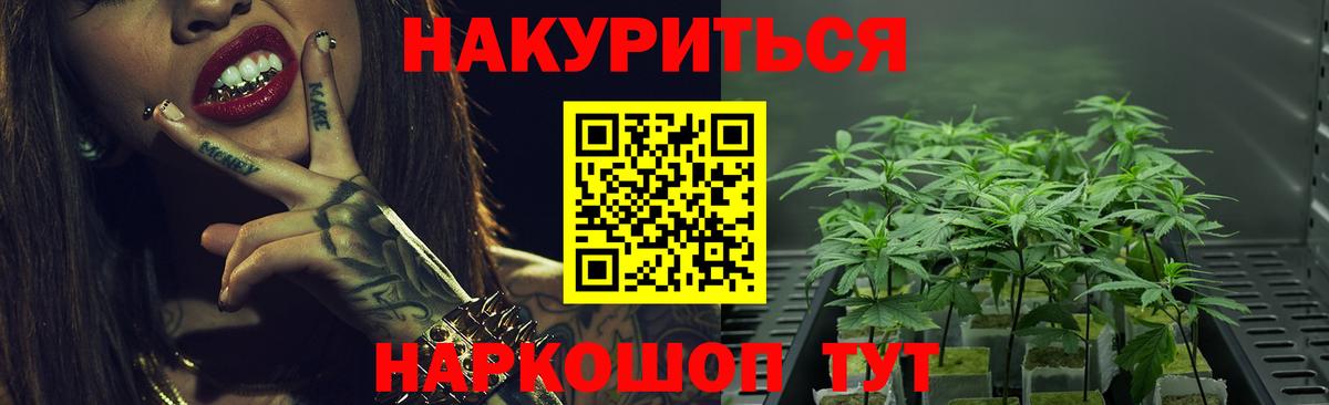 Конопля план  Бошки Шишки сатива  Бошки марихуана семена  Вход с VPN  Гуково 